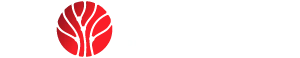 Seedient Digital Marketing